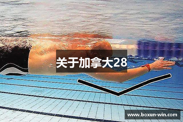 关于加拿大28